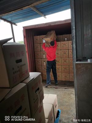 赣北地区装卸搬运工日薪现状与影响因素探析